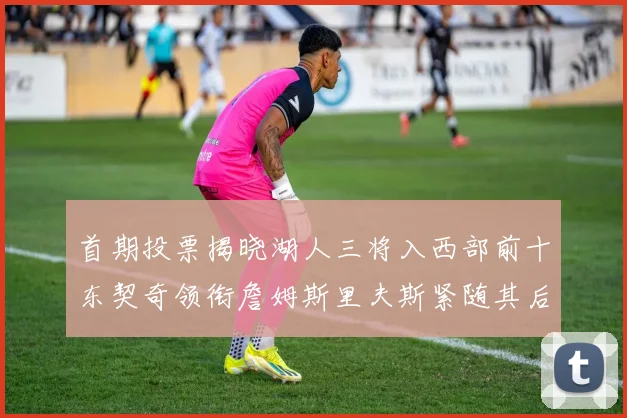 首期投票揭晓湖人三将入西部前十东契奇领衔詹姆斯里夫斯紧随其后