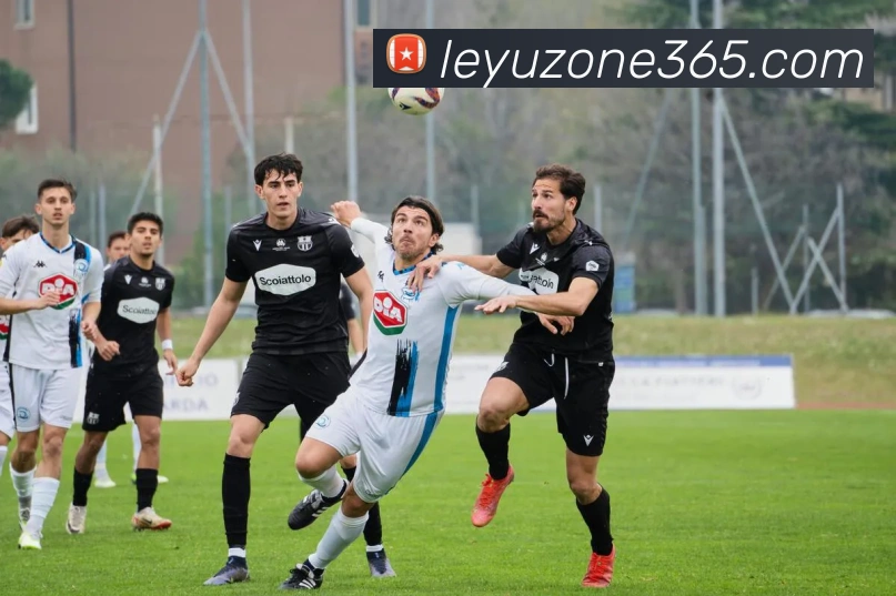 乐鱼(leyu)平台生态图