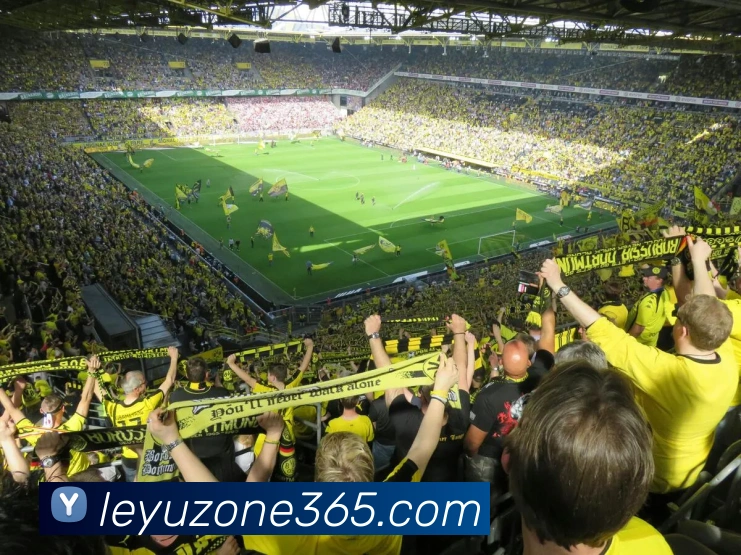 数据防护可视化